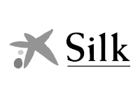 Silk